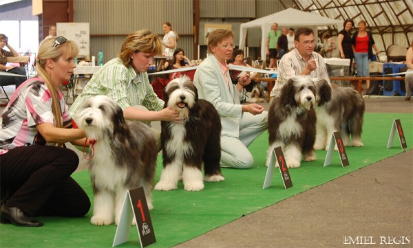 Klubová výstava 2008