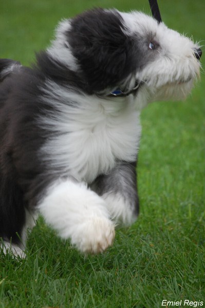 Podzimní klubovka 07